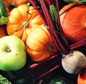 6 alimentos para consumir este Outono